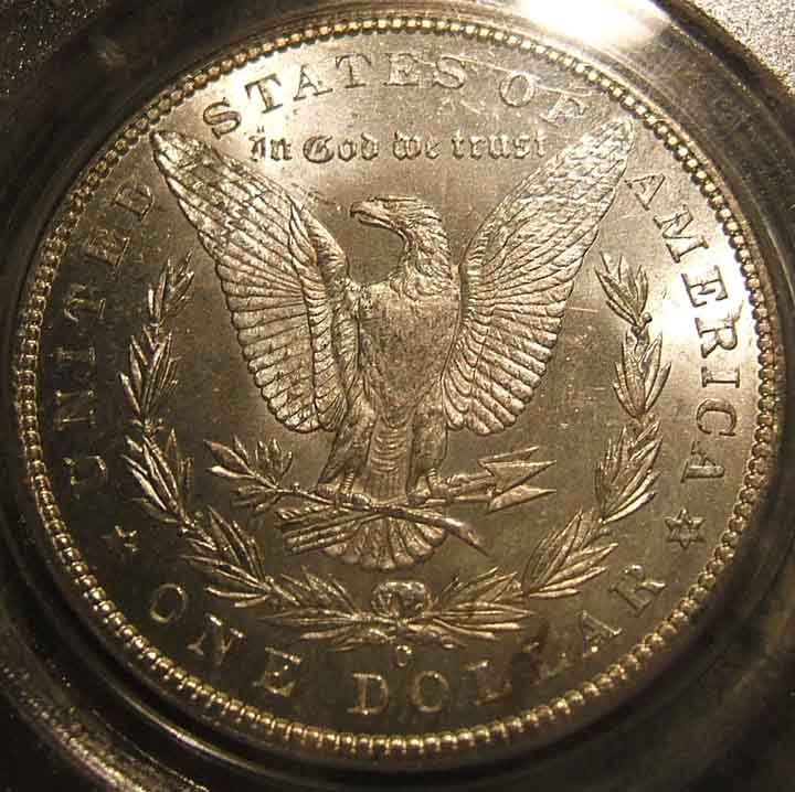 Three-Morgans-For-Grading...
